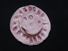 Slunicko1